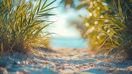 Tranquil Pathway Through Coastal Grass Leading to Sparkling Ocean