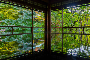 a rich autumn landscape