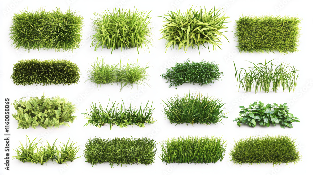 Poster large set of fresh green spring grass borders in differing shades of green lengths and densities for