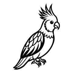 Line art illustration of a cockatiel.eps