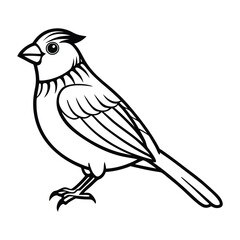 Line art illustration of a perched canary.eps