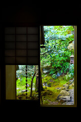 autumn scenery steeped in the garden