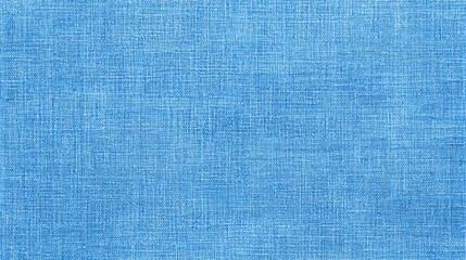 Flat texture of classic denim fabric in a washed blue shade.