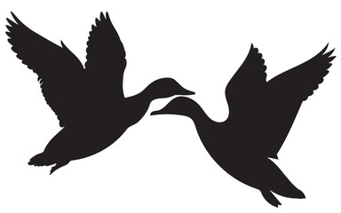 A set of black silhouettes isolated of ducks. Ducks vector illustration. Ducks art work.