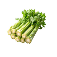 Fresh Celery Stalks bunch Transparent Background.