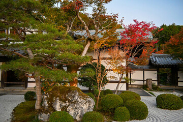 autumn scenery steeped in the garden