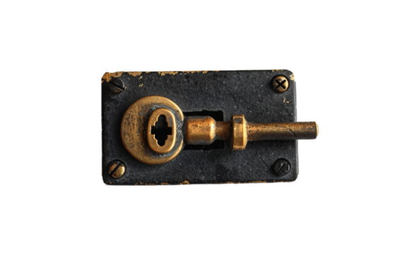 Key Operated Switch on transparent background.PNG
