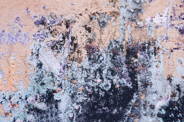 Close-up texture of damaged moldy wall.