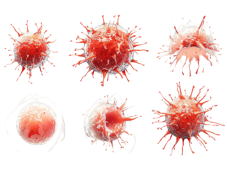 Vibrant  Cells with Unique Structures Isolated on transparent background