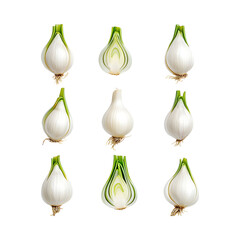 Fresh green garlic isolated on transparent background
