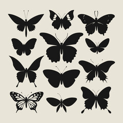 Butterfly silhouettes various butterfly species vector art illustration