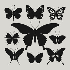 Butterfly silhouettes various butterfly species vector art illustration