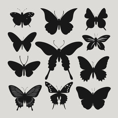 Butterfly silhouettes various butterfly species vector art illustration