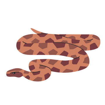 Burmese python icon clipart avatar logotype isolated illustration