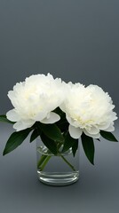 White peonies bloom gracefully in a glass vase, showcasing soft lighting against a clean, neutral background, reflecting a modern aesthetic