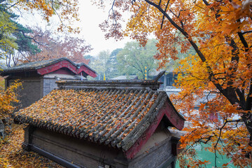 The ridge of ancient buildings in Suzhou Street, Summer Palace, Beijing