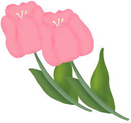 งานศิลปะที่ไม่มีชื่อ