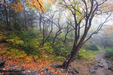 Early Winter Scenery at the North Foot of Wanshou Mountain in Summer Palace