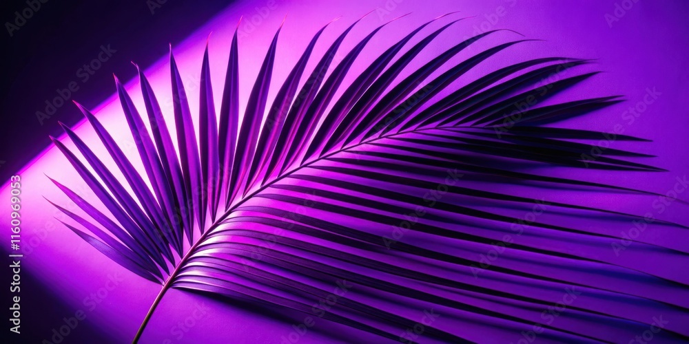 Poster a single palm frond with a purple hue, illuminated by a soft light source, casting a dramatic shadow