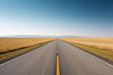 Fototapeta premium arafed road with yellow lines in the middle of a wide open field