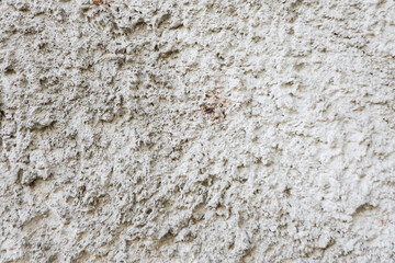 Old, rough plaster close-up on the wall.