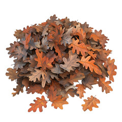 Artificial Maple Leaves Stems isolated on white and transparent background. PNG cutout. artificial maple leaves png, maple leaves transparent background, maple leaf cutout, isolated maple leaves,