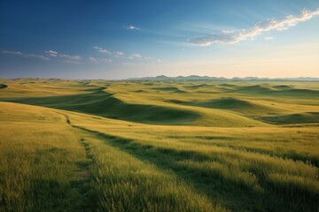 Fototapeta premium grassy plain with a path in the middle of it