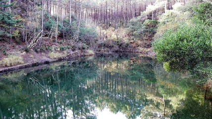 beautiful landscape with a lake in the mountains