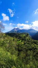 bright morning at the foot of mount merapi