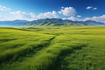 Fototapeta premium grassy field with mountains in the distance