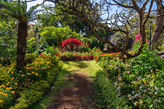 Municipal garden in Funchal on a summer morning. Madeira island, Portual.