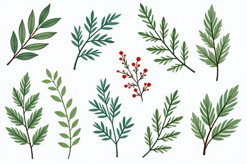 Obraz premium winter greenery fir elements available illustration use christmas floral element