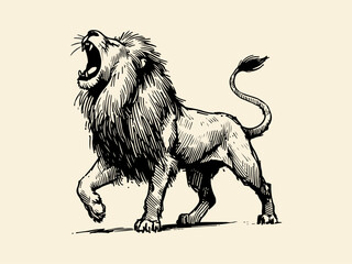 Lion Hand Drawn Illustration Vector Isolated
