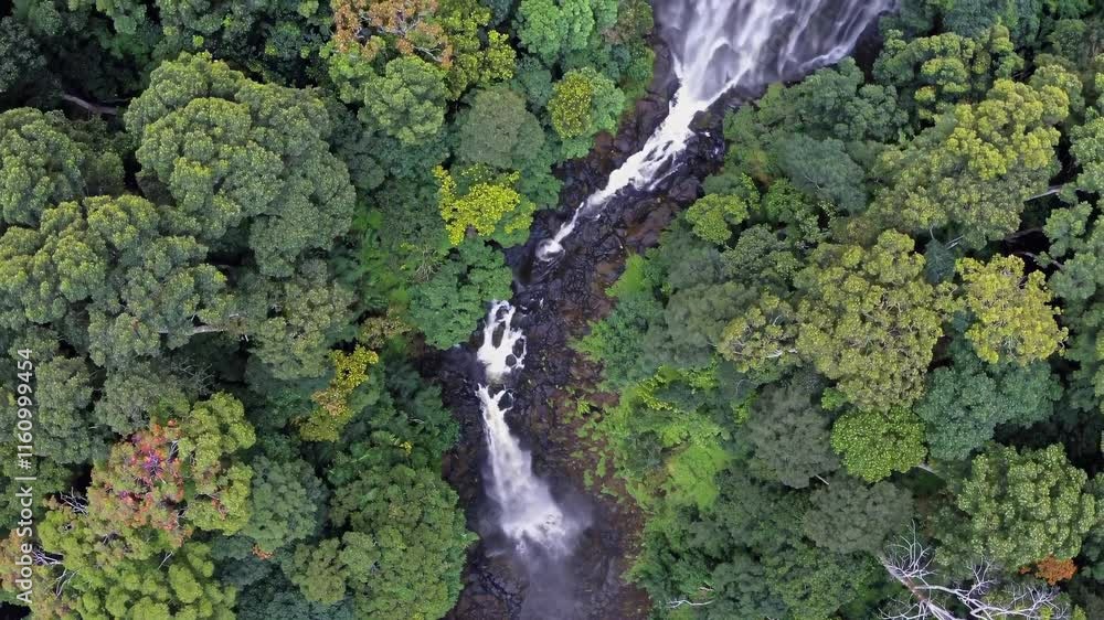 Aufkleber waterfall cascading through lush rainforest captured from above in an aerial view