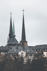 view of luxembourg cathedral towers