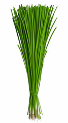 Fresh Green Onions Realistic Image