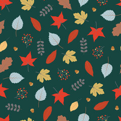 Autumn fall foliage seamless pattern of autumn color sweetgum, oak, poplar, elm leaves