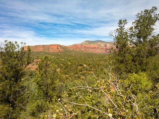 Obraz premium Sedona, Arizona