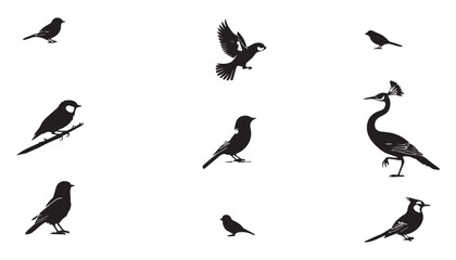 Birds silhouettes collection black and white vector illustration design background