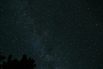 Stars and galaxy outer space sky night with tree tops
