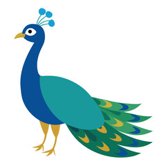 peacock
