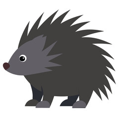 porcupine