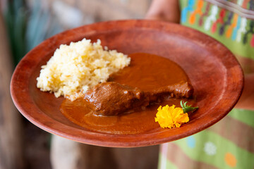Mole coloradito from Oaxaca. Traditional Mexican recipe made with vegetables, Mexican chili peppers and other ingredients.