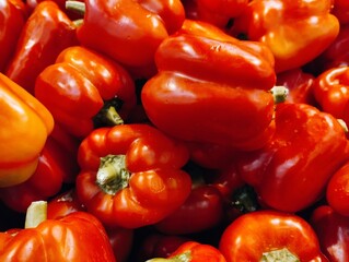 red and yellow peppers