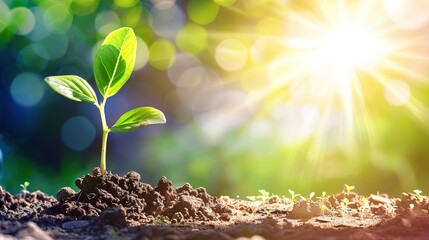 A single green sprout growing from cracked dry earth, representing resilience, new life, and hope in challenging conditions. Symbol of growth and renewal in nature.
