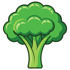 Fresh Green Broccoli Vector Clipart Illustration Artwork