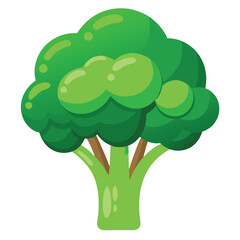 Fresh Green Broccoli Vector Clipart Illustration Artwork