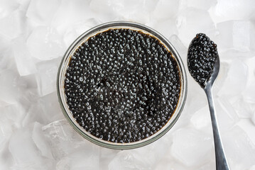 Black Sturgeon or Beluga caviar