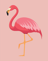 illustration of a flamingo