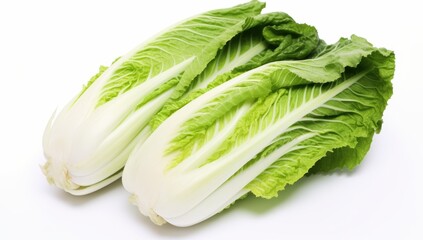 fresh chinese cabbage on a white background